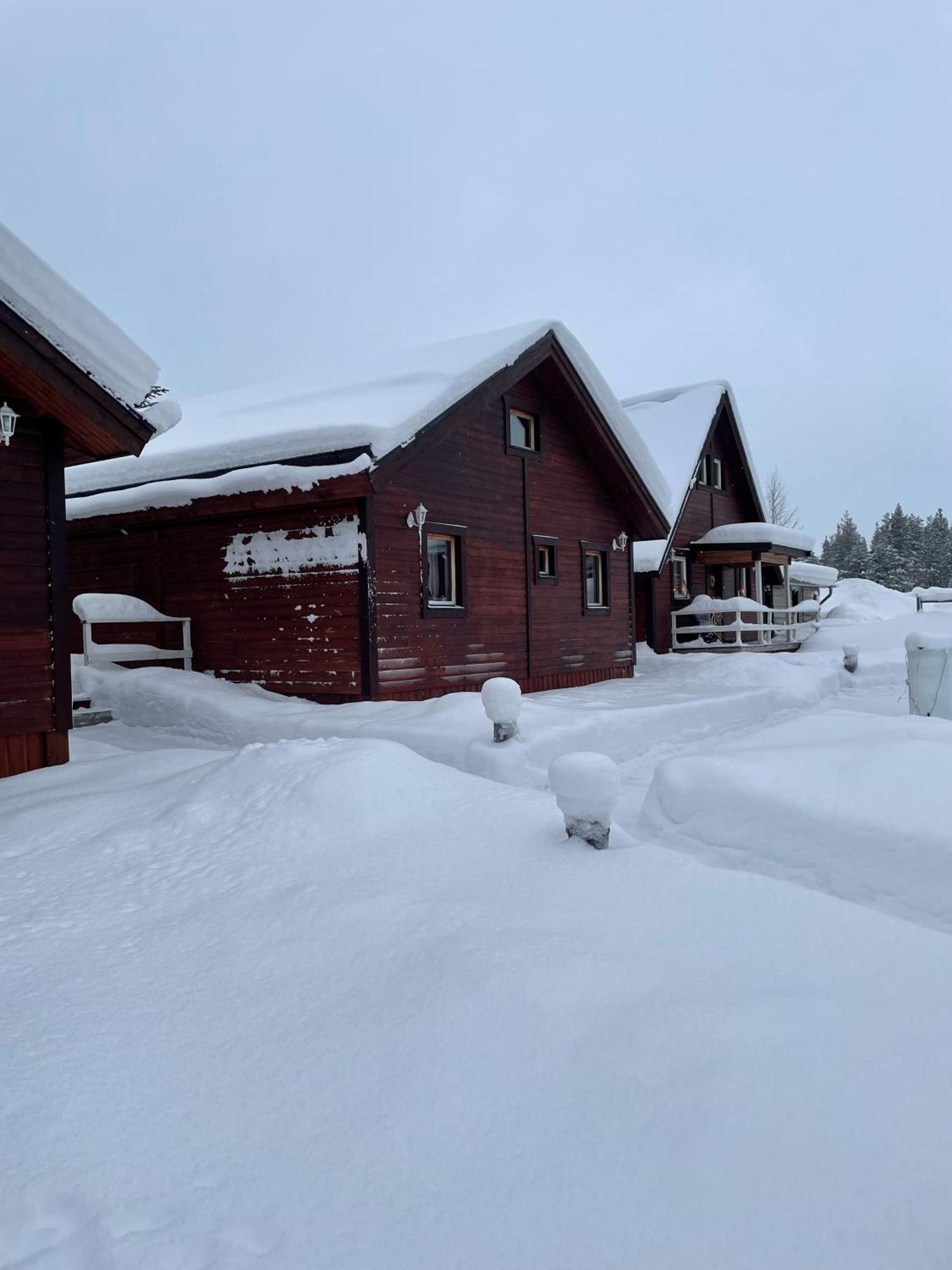 Skogen-Lodge Koskullskulle Екстериор снимка